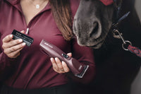 Wahl KM Supera Paarden Tondeuse Scheermachines - Maddelin Equestrian Wahl