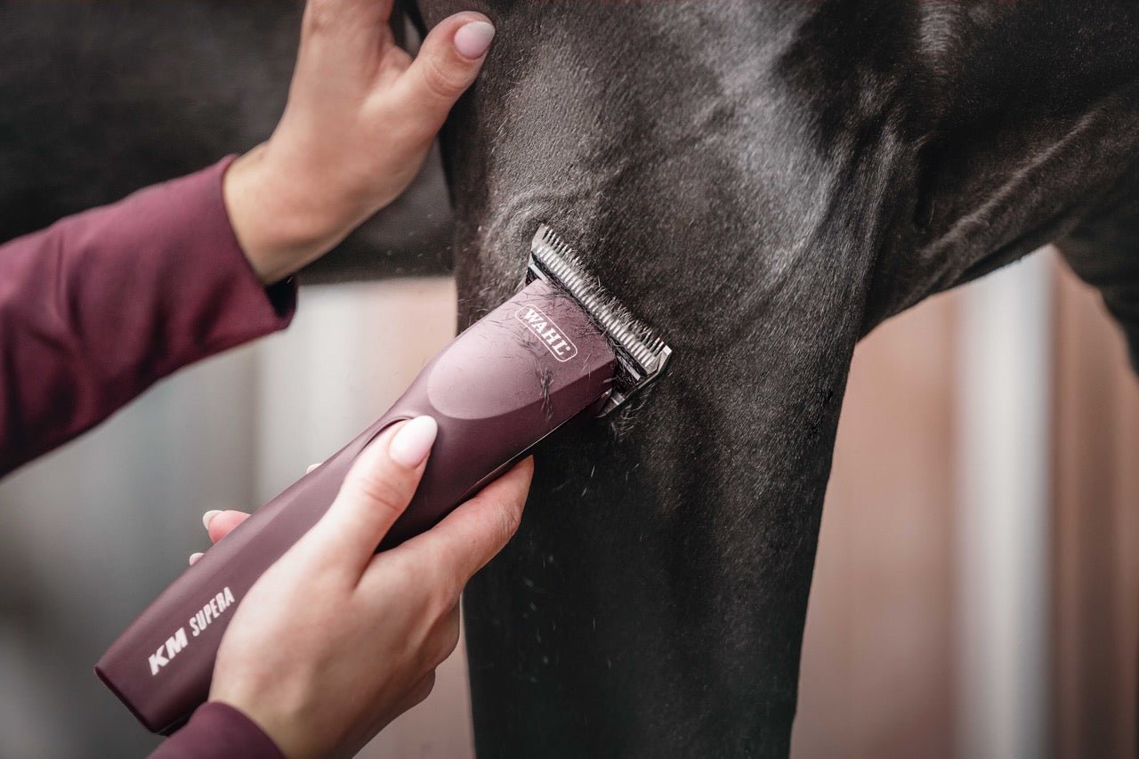 Wahl KM Supera Paarden Tondeuse Scheermachines - Maddelin Equestrian Wahl