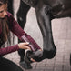 Wahl KM Supera Paarden Tondeuse Scheermachines - Maddelin Equestrian Wahl