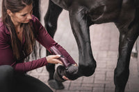 Wahl KM Supera Paarden Tondeuse Scheermachines - Maddelin Equestrian Wahl