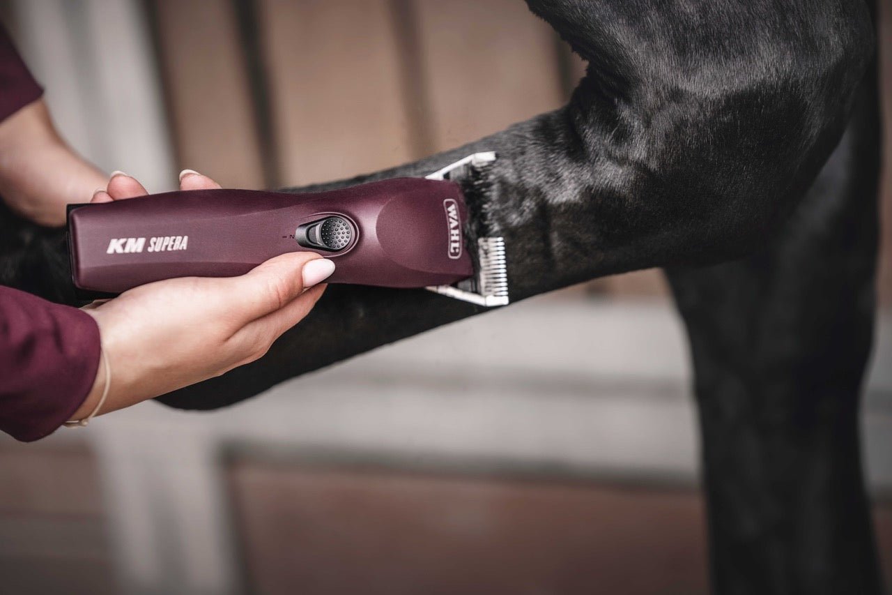 Wahl KM Supera Paarden Tondeuse Scheermachines - Maddelin Equestrian Wahl