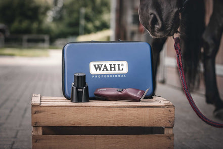 Wahl KM Supera Paarden Tondeuse Scheermachines - Maddelin Equestrian Wahl