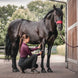 Wahl KM Supera Paarden Tondeuse Scheermachines - Maddelin Equestrian Wahl