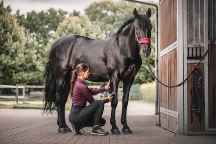 Wahl KM Supera Paarden Tondeuse Scheermachines - Maddelin Equestrian Wahl
