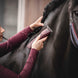 Wahl KM Supera Paarden Tondeuse Scheermachines - Maddelin Equestrian Wahl