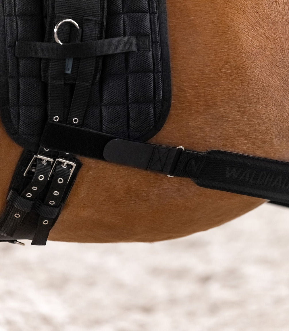 Waldhausen Body bandage Achterhand Activatie Longeerbenodigdheden - Maddelin Equestrian Waldhausen