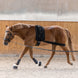 Waldhausen Body bandage Achterhand Activatie Longeerbenodigdheden - Maddelin Equestrian Waldhausen
