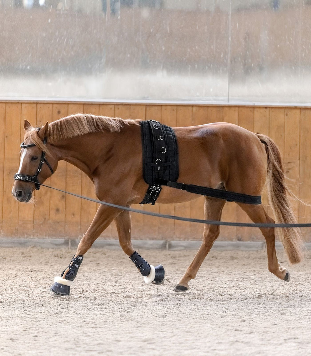 Waldhausen Body bandage Achterhand Activatie Longeerbenodigdheden - Maddelin Equestrian Waldhausen