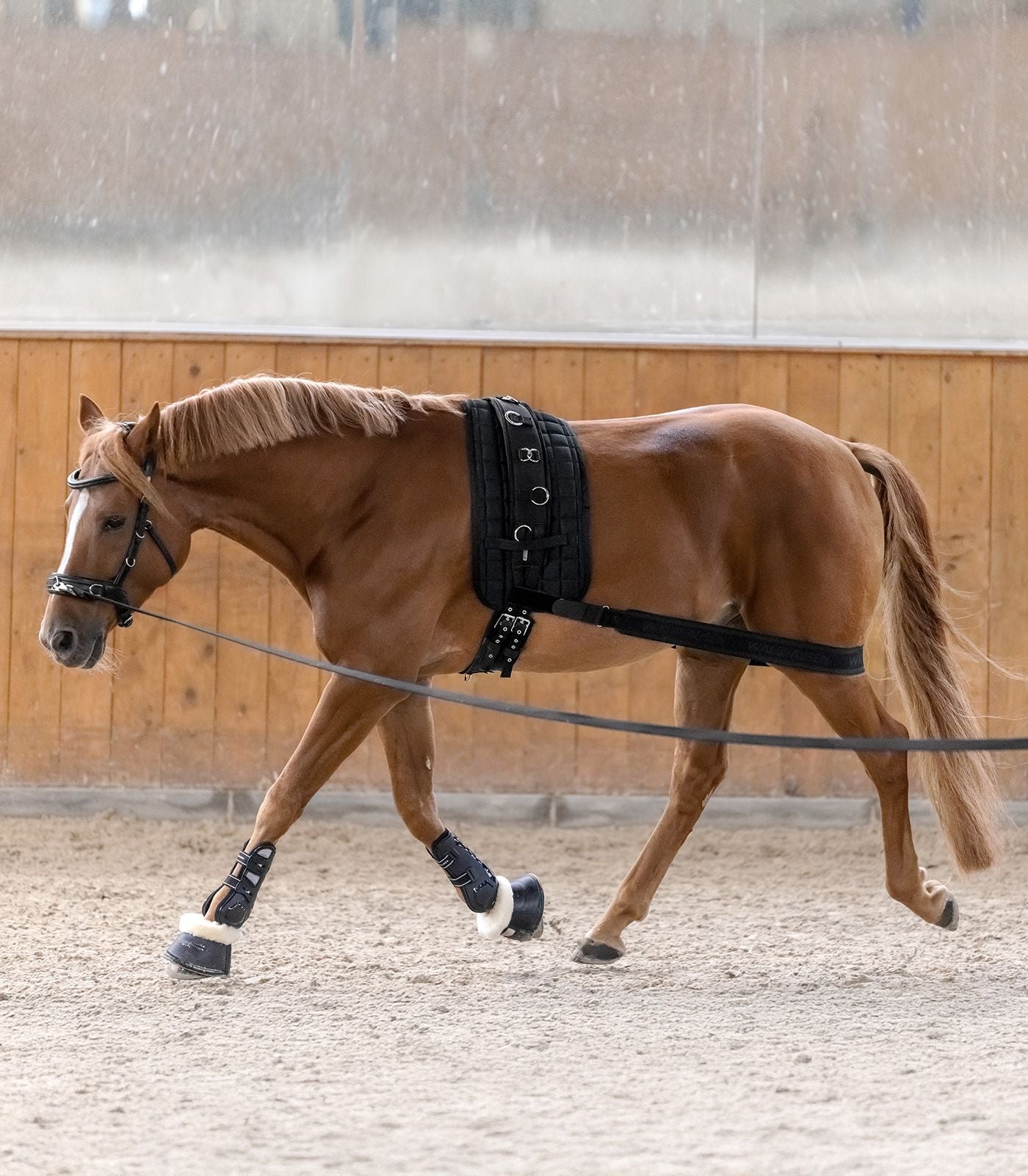 Waldhausen Body bandage Achterhand Activatie Longeerbenodigdheden - Maddelin Equestrian Waldhausen