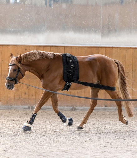 Waldhausen Body bandage Achterhand Activatie Longeerbenodigdheden - Maddelin Equestrian Waldhausen