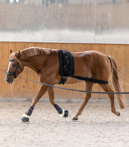 Waldhausen Body bandage Achterhand Activatie Longeerbenodigdheden - Maddelin Equestrian Waldhausen