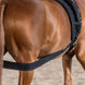 Waldhausen Body bandage Achterhand Activatie Longeerbenodigdheden - Maddelin Equestrian Waldhausen