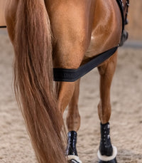Waldhausen Body bandage Achterhand Activatie Longeerbenodigdheden - Maddelin Equestrian Waldhausen