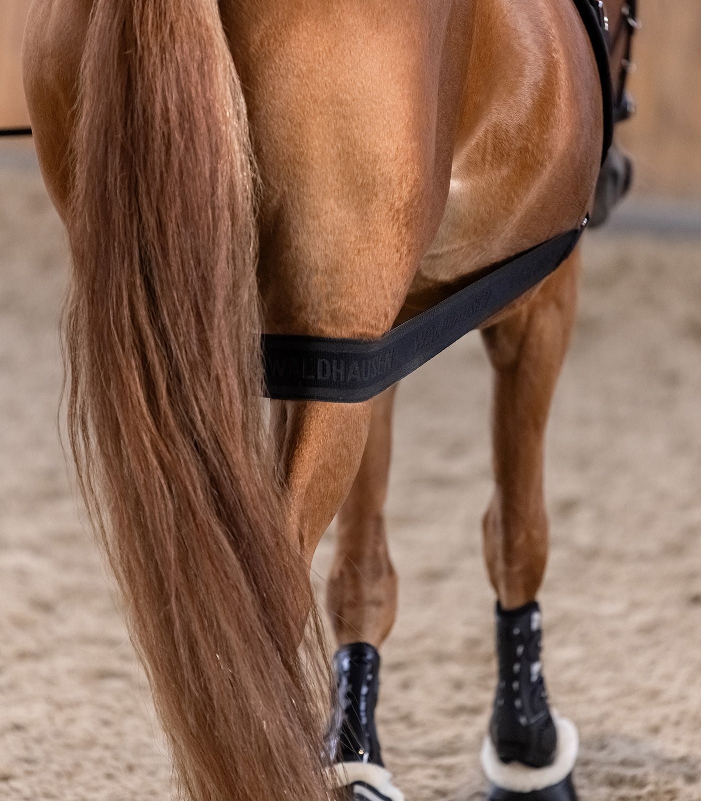 Waldhausen Body bandage Achterhand Activatie Longeerbenodigdheden - Maddelin Equestrian Waldhausen