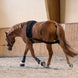 Waldhausen Body bandage Achterhand Activatie Longeerbenodigdheden - Maddelin Equestrian Waldhausen