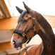 Waldhausen Economic Longeer Halster Longeerbenodigdheden - Maddelin Equestrian Waldhausen