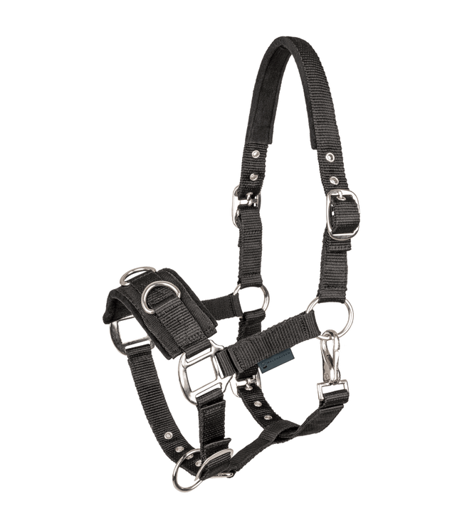 Waldhausen Economic Longeerhalster Kaptoom Longeerbenodigdheden - Maddelin Equestrian Waldhausen