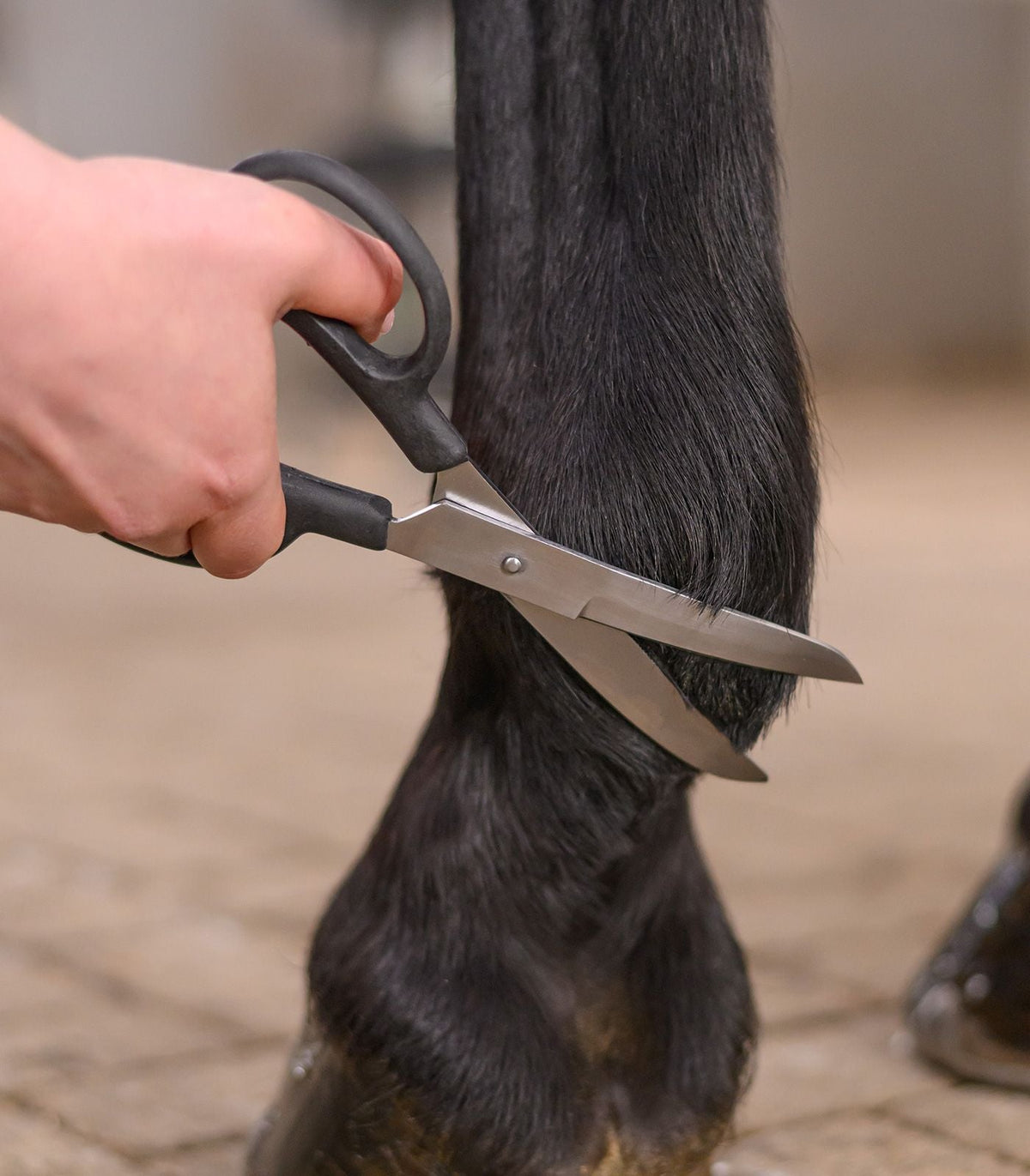 Waldhausen Gebogen Kootschaar voor Paarden Borstels & toebehoren - Maddelin Equestrian