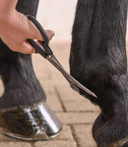 Waldhausen Gebogen Kootschaar voor Paarden Borstels & toebehoren - Maddelin Equestrian