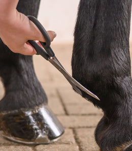 Waldhausen Gebogen Kootschaar voor Paarden Borstels & toebehoren - Maddelin Equestrian