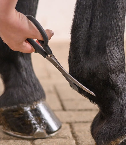 Waldhausen Gebogen Kootschaar voor Paarden Borstels & toebehoren - Maddelin Equestrian
