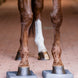 Waldhausen Health + Care balance pads Therapeutisch - Maddelin Equestrian Waldhausen