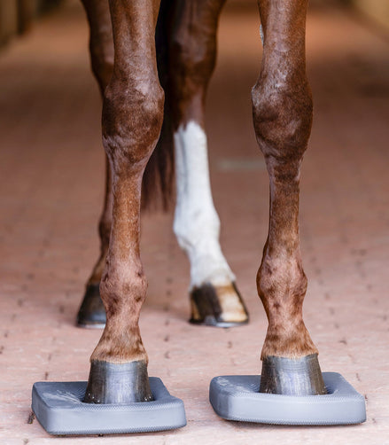 Waldhausen Health + Care balance pads Therapeutisch - Maddelin Equestrian Waldhausen