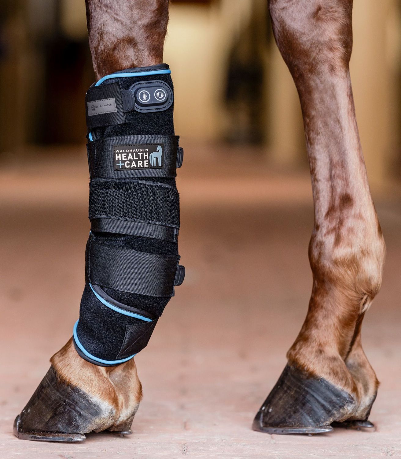 Waldhausen Health Care Boot Transport, therapeutisch en stalbeschermers - Maddelin Equestrian Waldhausen