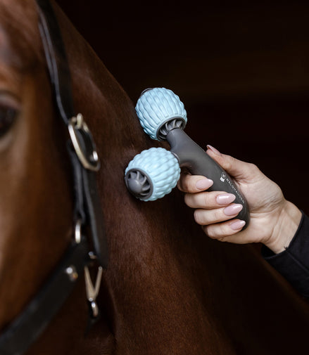 Waldhausen Health + Care Comfort Creator Borstels & toebehoren - Maddelin Equestrian Waldhausen