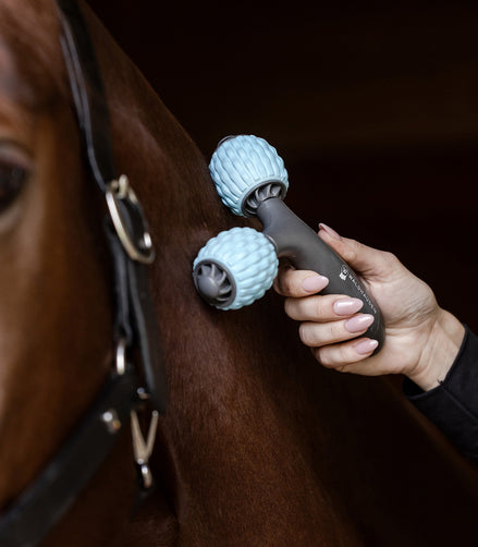 Waldhausen Health + Care Comfort Creator Borstels & toebehoren - Maddelin Equestrian Waldhausen