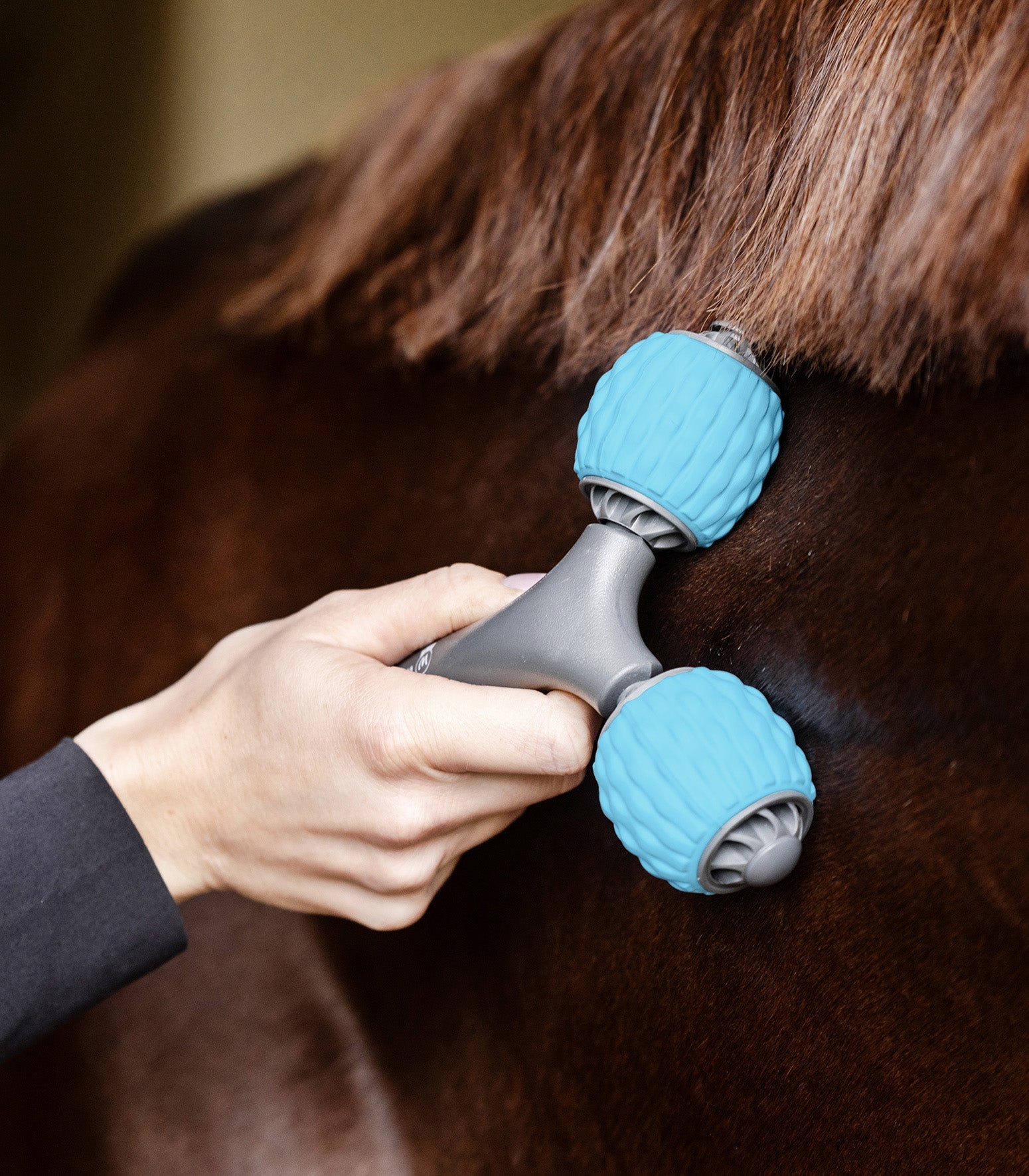 Waldhausen Health + Care Comfort Creator Borstels & toebehoren - Maddelin Equestrian Waldhausen