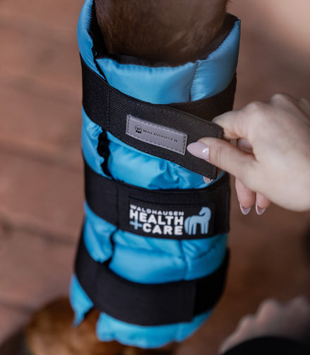 Waldhausen Health + Care cooling boot 1 been Transport, therapeutisch en stalbeschermers - Maddelin Equestrian Waldhausen