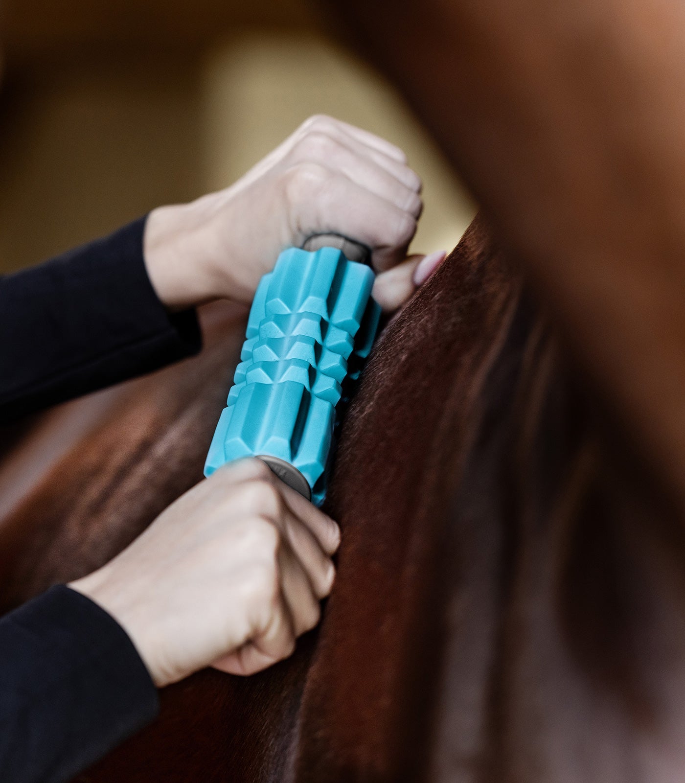 Waldhausen Health + Care Fascia Fit Borstels & toebehoren - Maddelin Equestrian Waldhausen