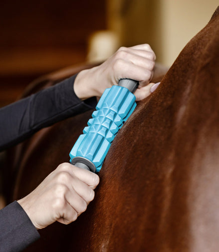 Waldhausen Health + Care Fascia Fit Borstels & toebehoren - Maddelin Equestrian Waldhausen