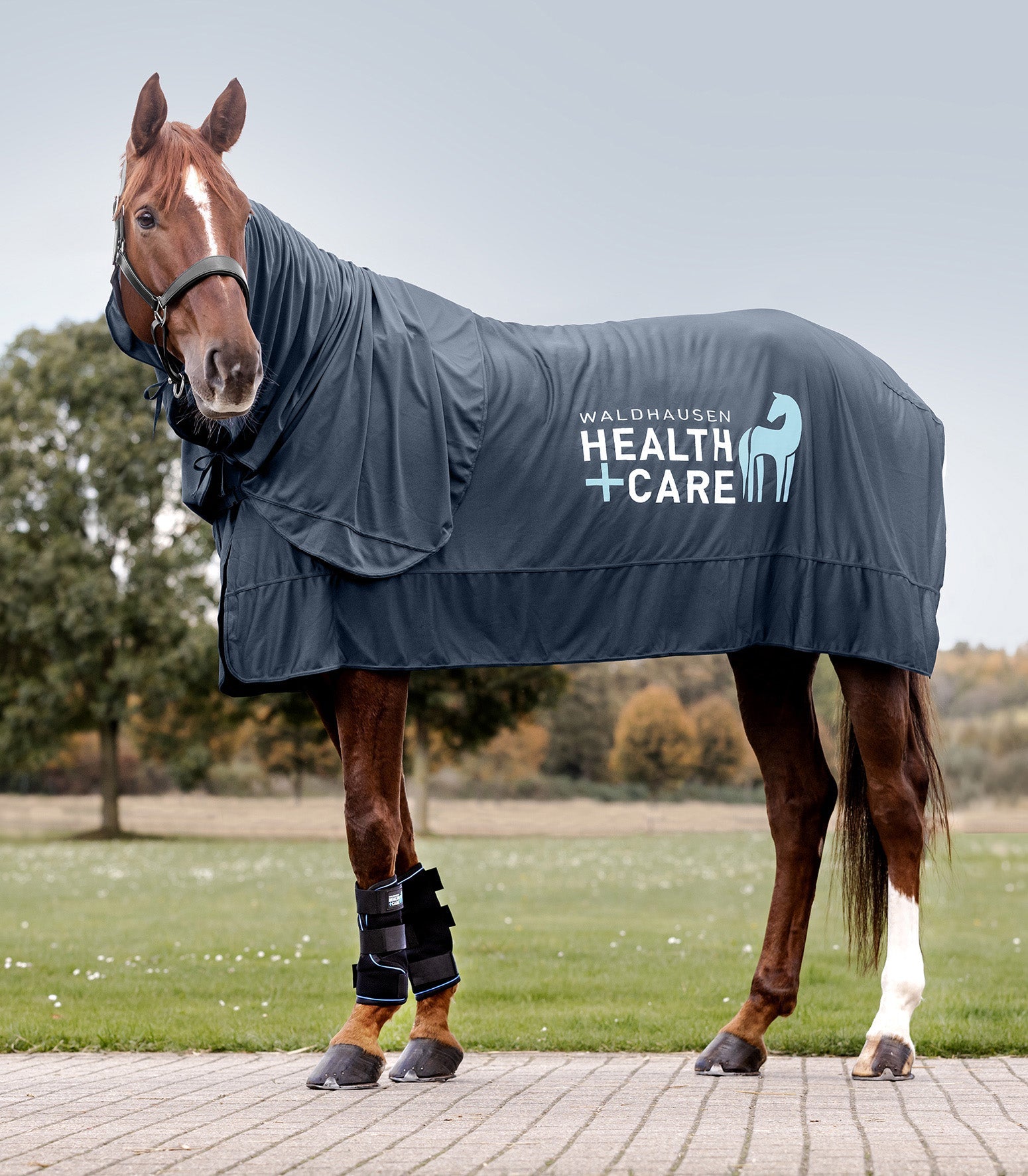 Waldhausen Health + Care Ice - Layer rug Therapeutisch - Maddelin Equestrian Waldhausen