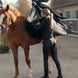 Waldhausen Health + Care Ice - Layer rug Therapeutisch - Maddelin Equestrian Waldhausen