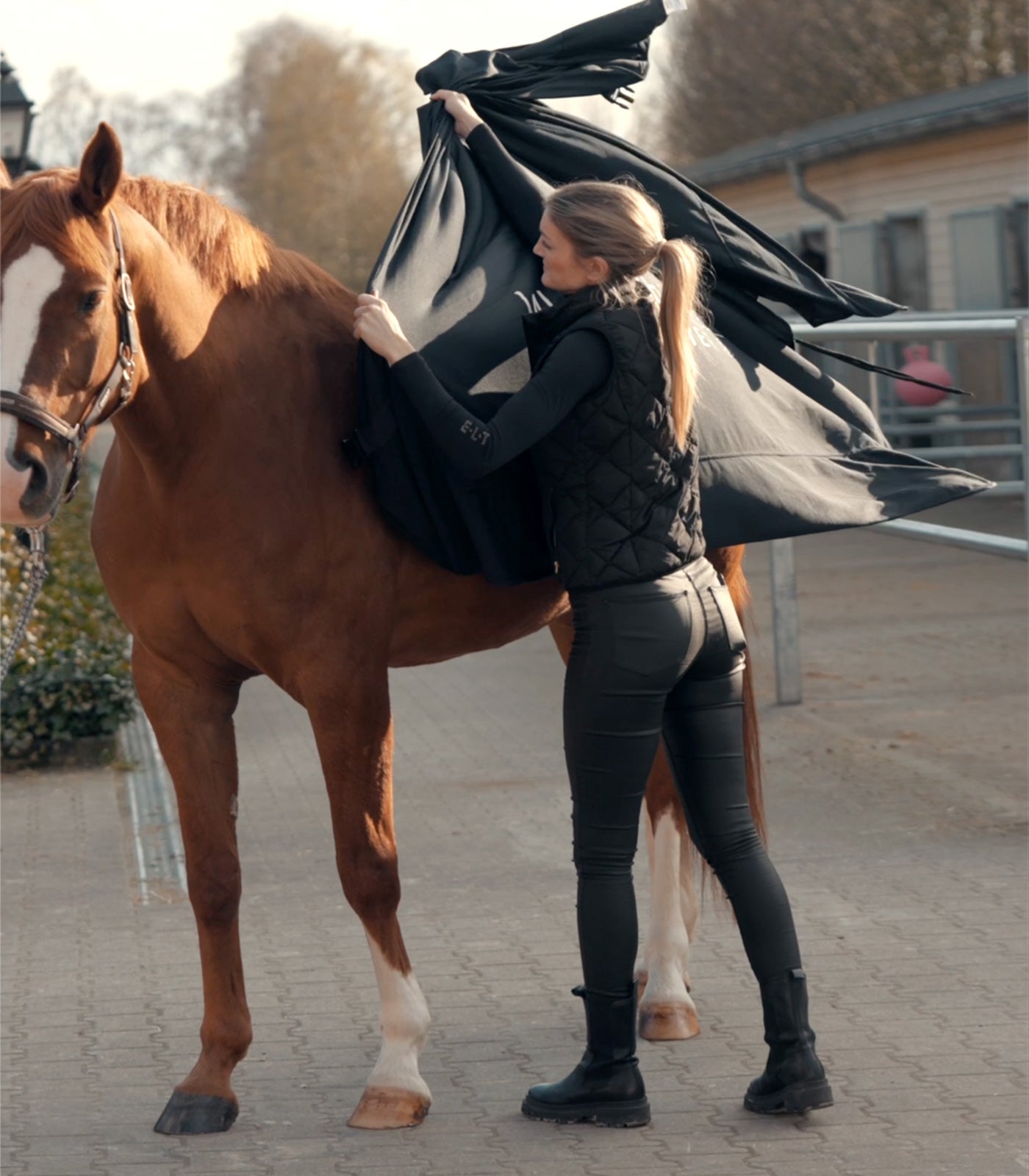 Waldhausen Health + Care Ice - Layer rug Therapeutisch - Maddelin Equestrian Waldhausen