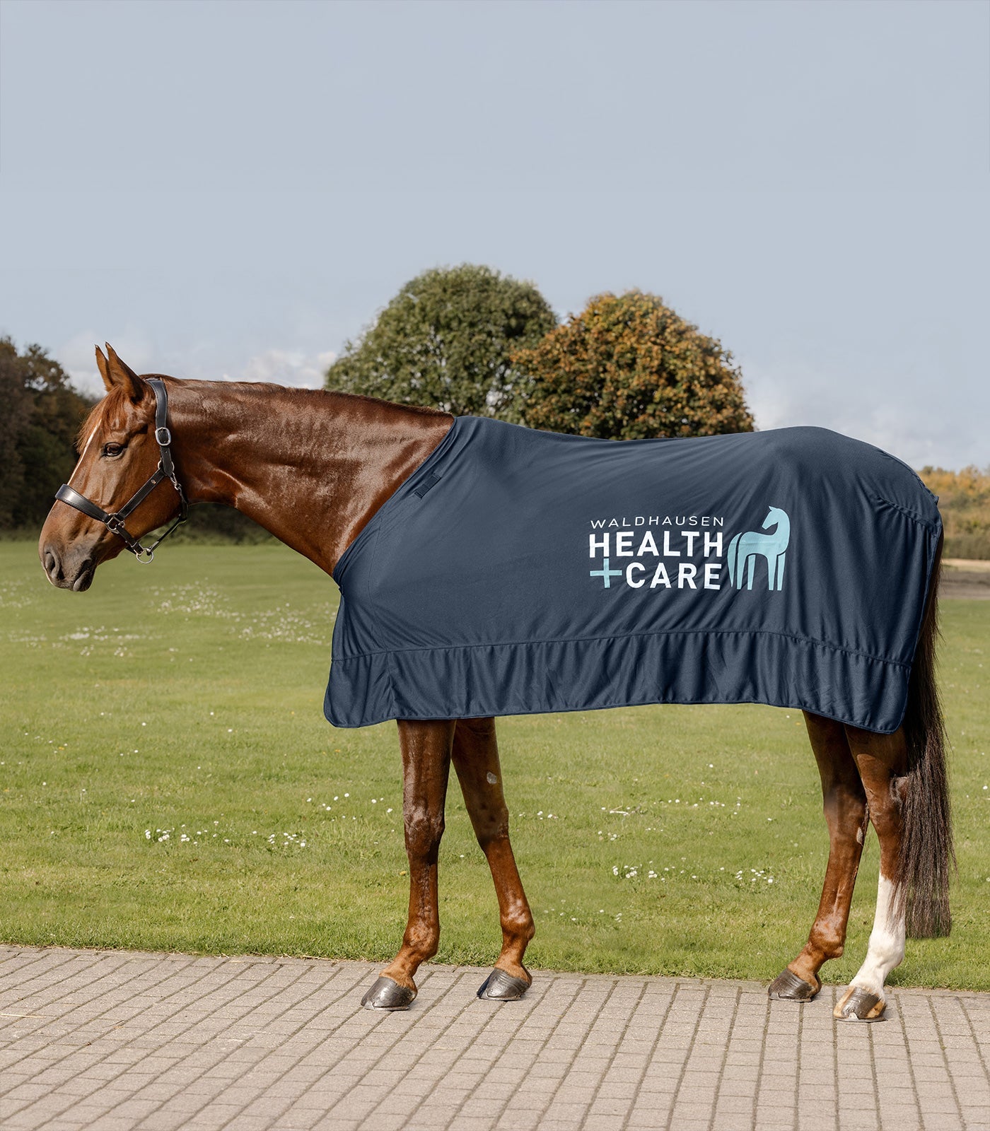 Waldhausen Health + Care Ice - Layer rug Therapeutisch - Maddelin Equestrian Waldhausen