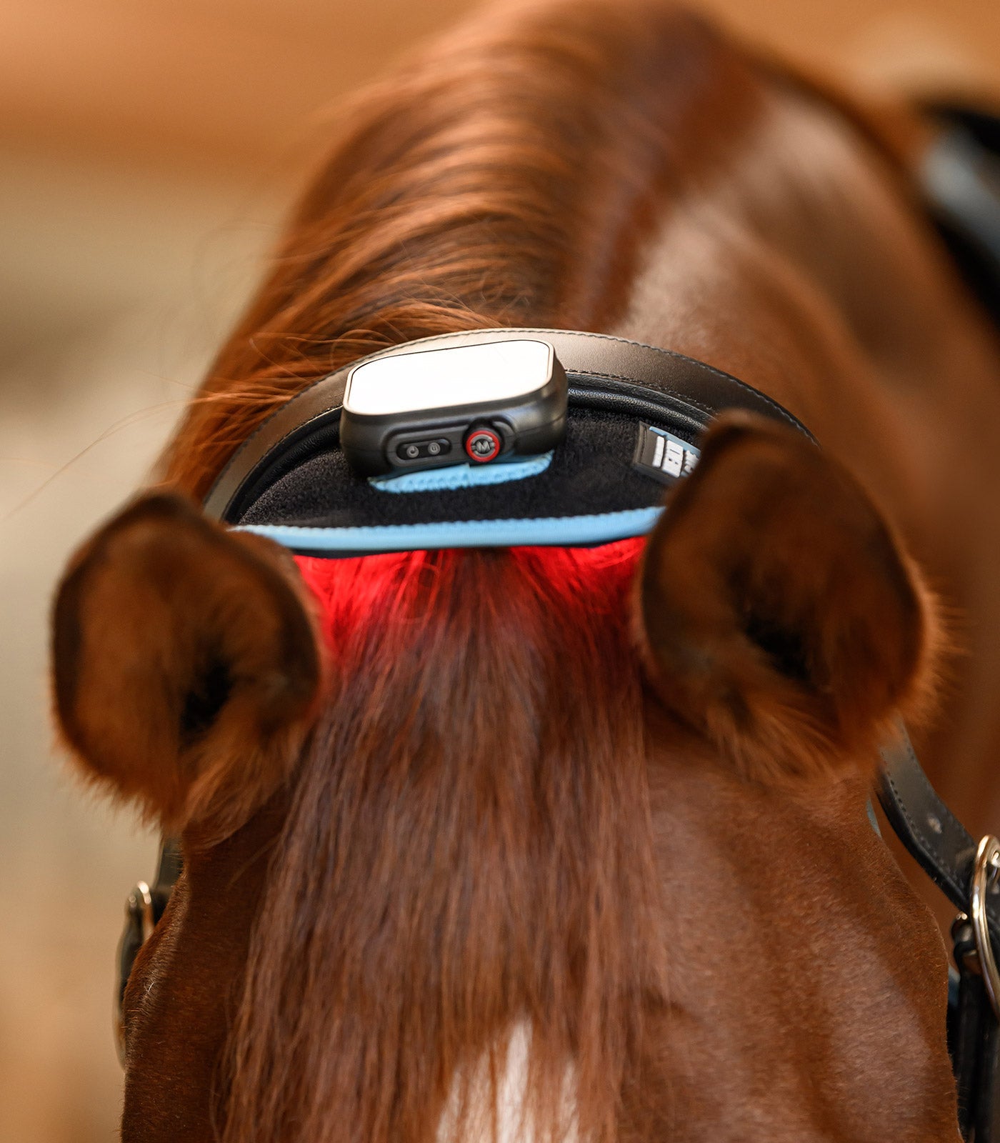 Waldhausen Health + Care Infrared FlexPad Therapeutisch - Maddelin Equestrian Waldhausen