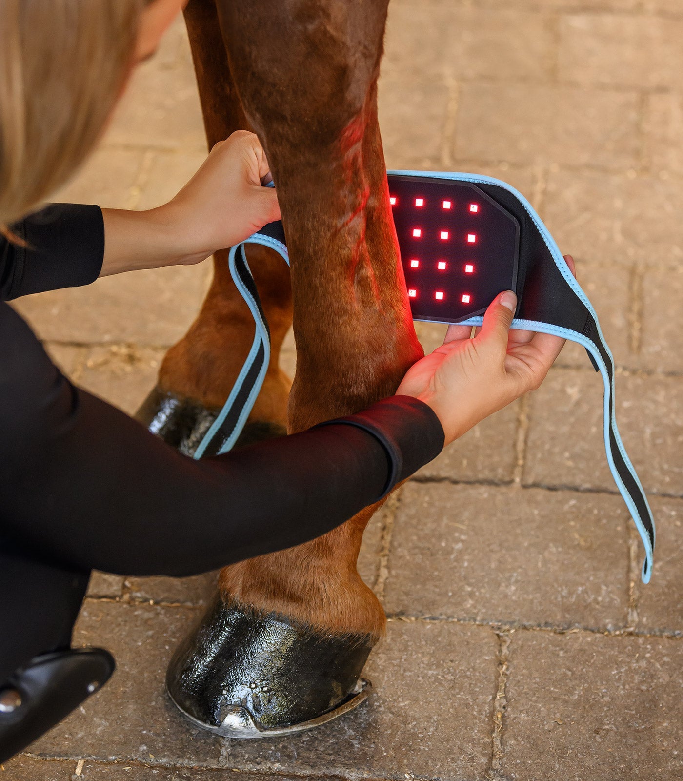 Waldhausen Health + Care Infrared FlexPad Therapeutisch - Maddelin Equestrian Waldhausen