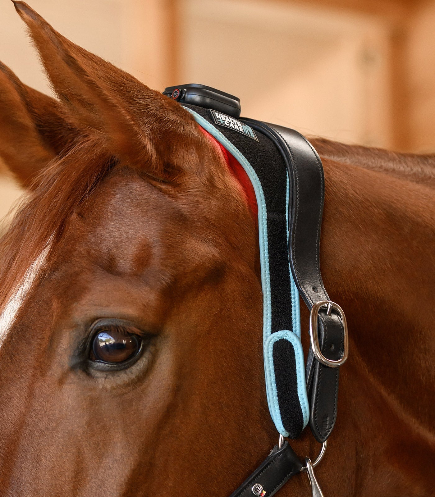 Waldhausen Health + Care Infrared FlexPad Therapeutisch - Maddelin Equestrian Waldhausen
