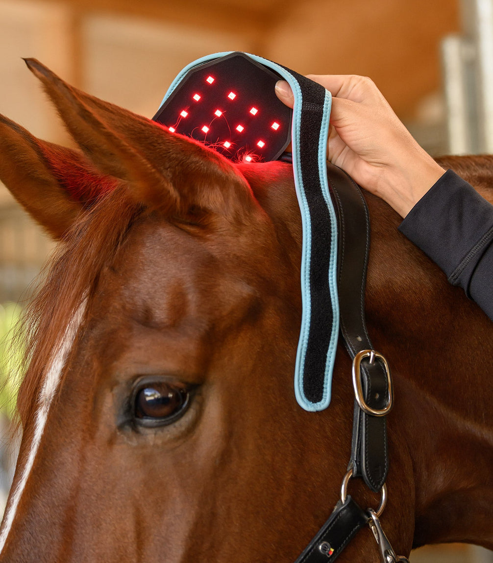 Waldhausen Health + Care Infrared FlexPad Therapeutisch - Maddelin Equestrian Waldhausen