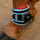 Waldhausen Health + Care Infrared FlexPad Therapeutisch - Maddelin Equestrian Waldhausen