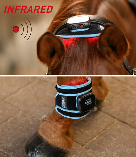 Waldhausen Health + Care Infrared FlexPad Therapeutisch - Maddelin Equestrian Waldhausen