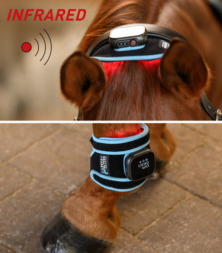 Waldhausen Health + Care Infrared FlexPad Therapeutisch - Maddelin Equestrian Waldhausen