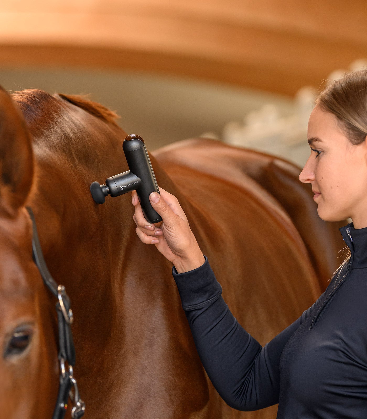 Waldhausen Health + Care PocketRelax massage device Therapeutisch - Maddelin Equestrian Waldhausen