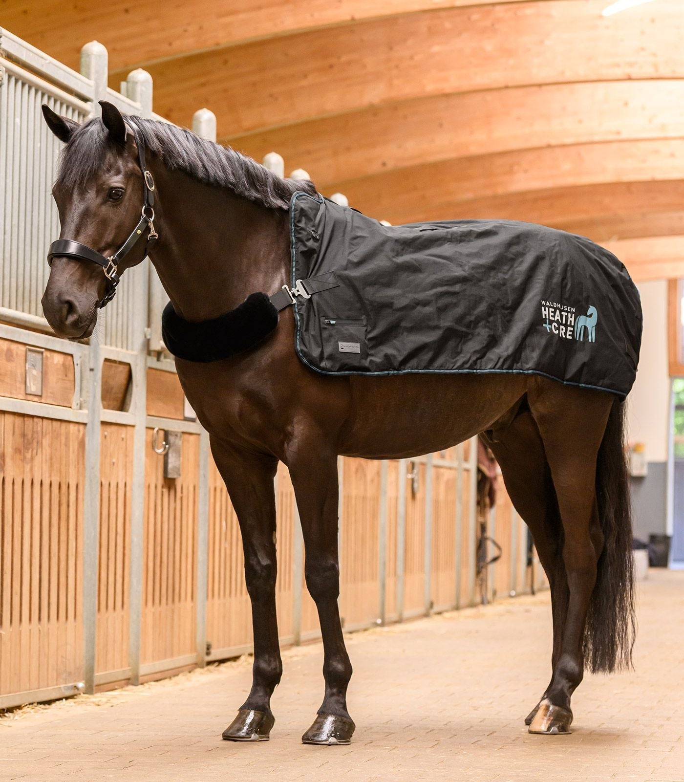 Waldhausen Health + Care TecSupreme heating and massage rug Therapeutisch - Maddelin Equestrian Waldhausen