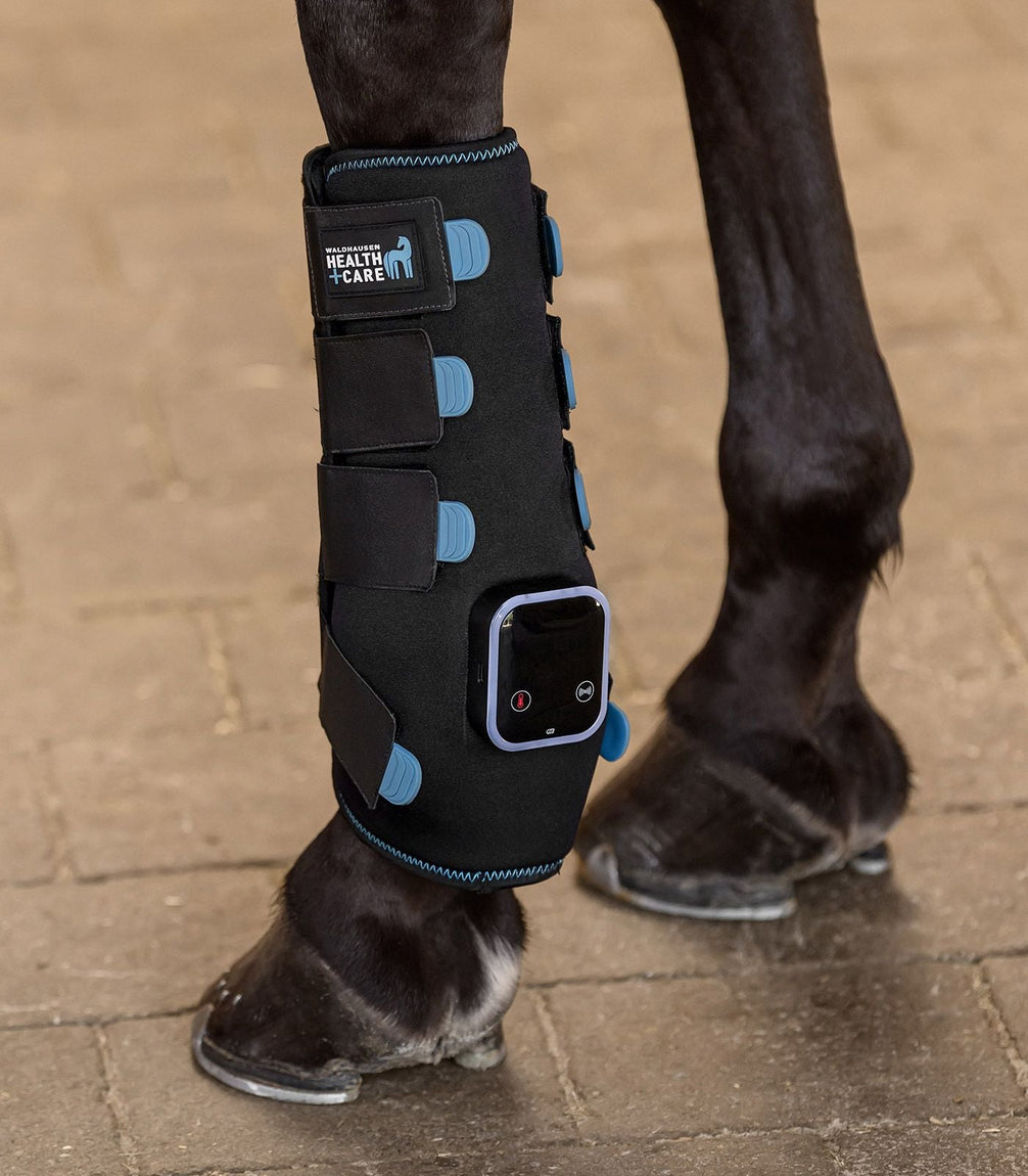 Waldhausen Health + Care TecSupreme tendon boot Transport, therapeutisch en stalbeschermers - Maddelin Equestrian Waldhausen