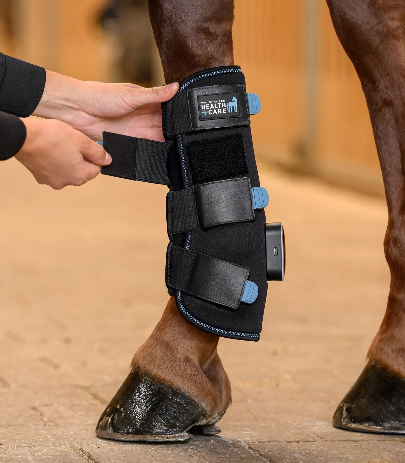 Waldhausen Health + Care TecSupreme tendon boot Transport, therapeutisch en stalbeschermers - Maddelin Equestrian Waldhausen