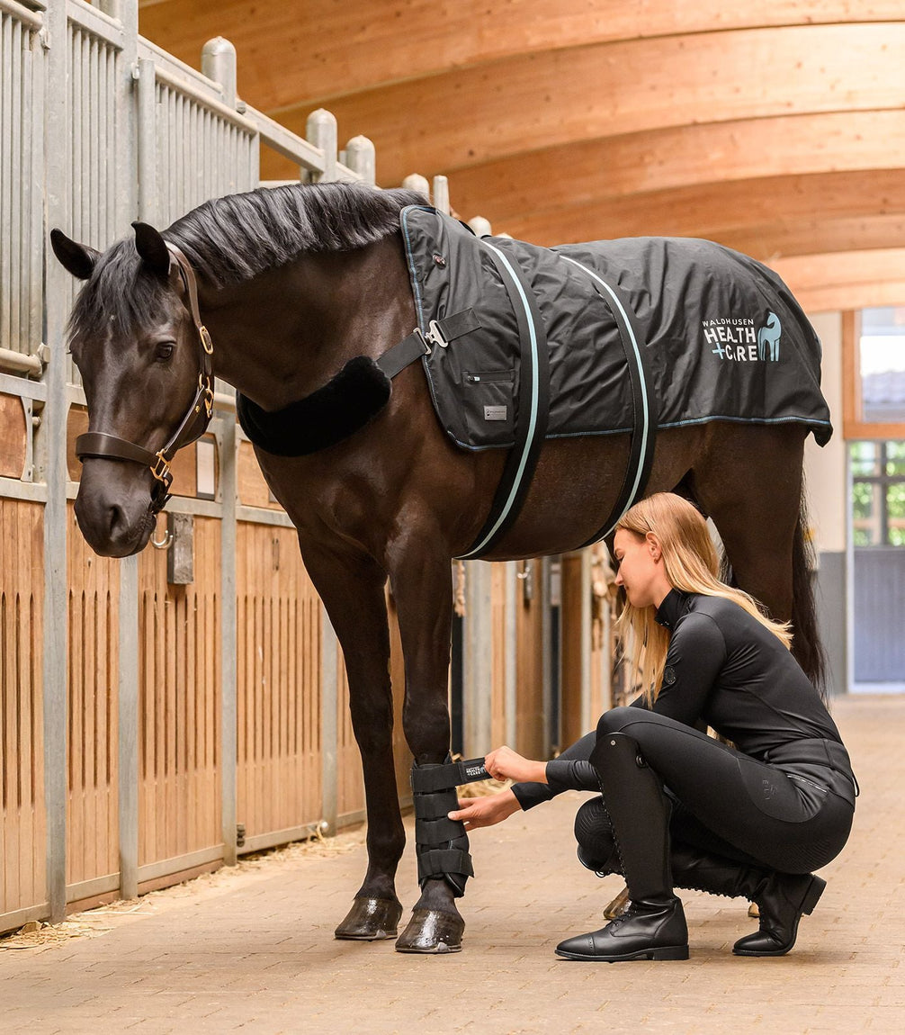 Waldhausen Health + Care TecSupreme tendon boot Transport, therapeutisch en stalbeschermers - Maddelin Equestrian Waldhausen